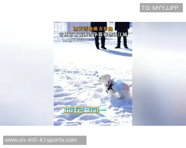 涨常识｜冰天雪地出门跑步前，请先了解这个基本原则
